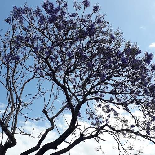 Photo #7463534