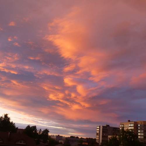Photo #7463588