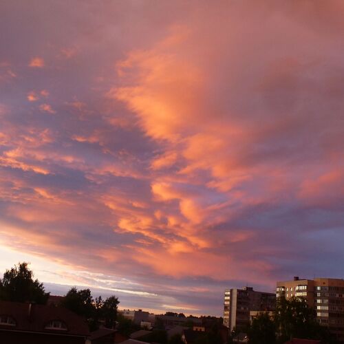 Photo #7463589