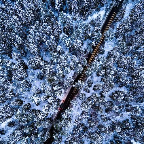 Photo #7463640