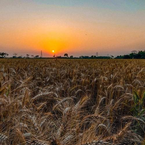 Photo #7463939