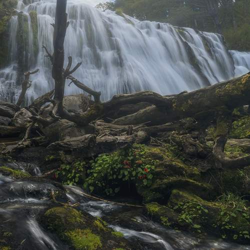 Фотография #7464556