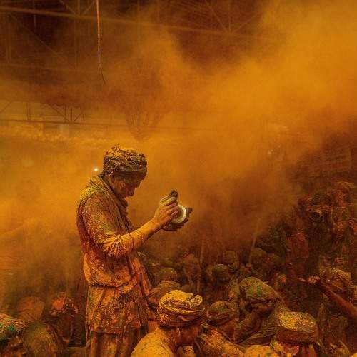 Photo #7464795