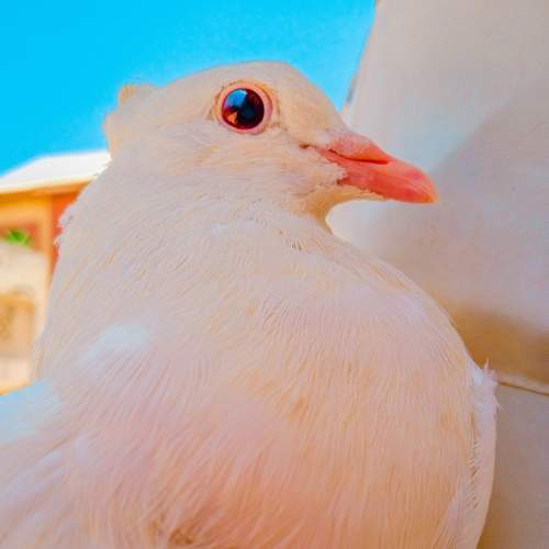 Photo #7465316
