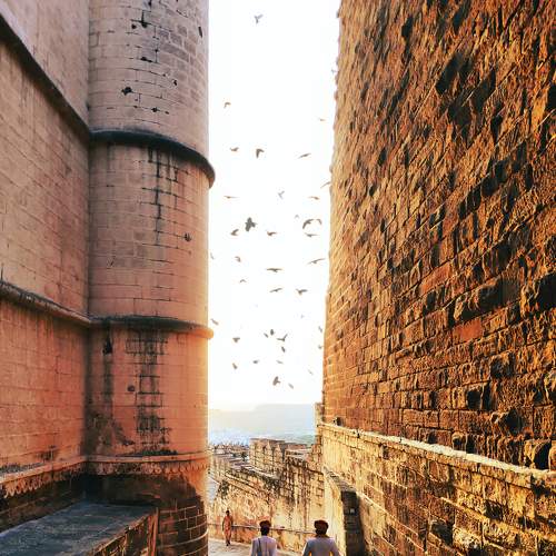 Photo #7465335