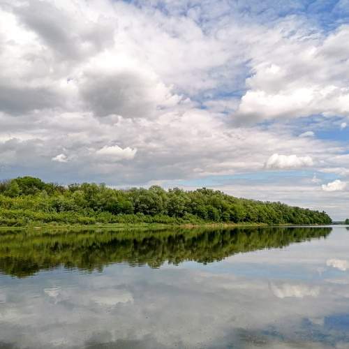 Photo #7465352