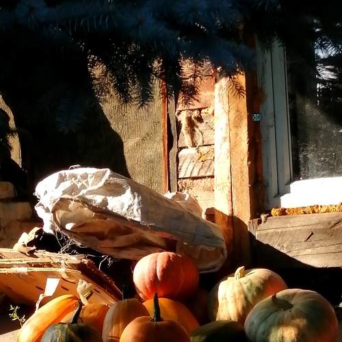 Photo #7466903