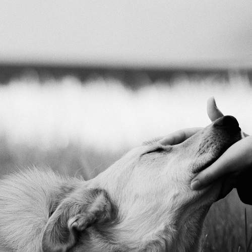 Фотография #7466949