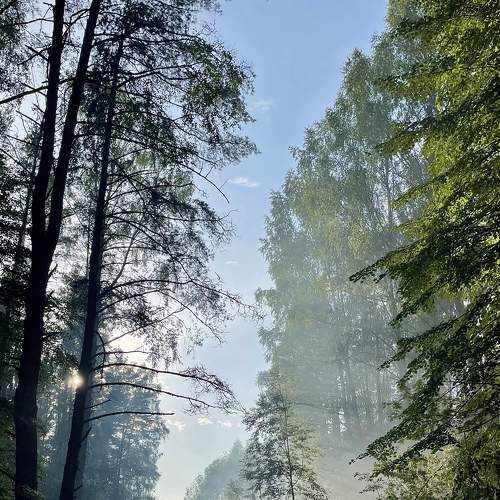Photo #7467101