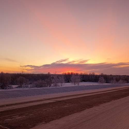 Photo #7467690