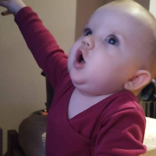 Photo #7468819