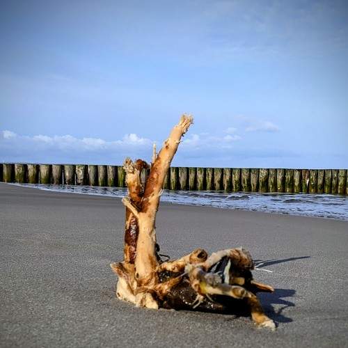Photo #7469016