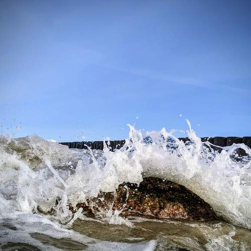 Photo #7469017