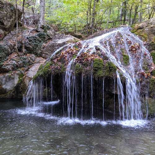 Photo #7469890
