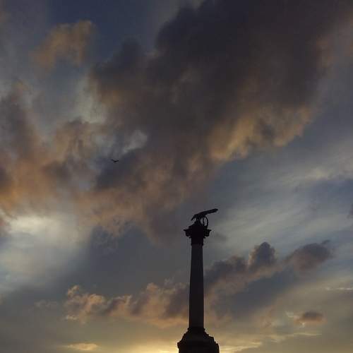 Photo #7469894