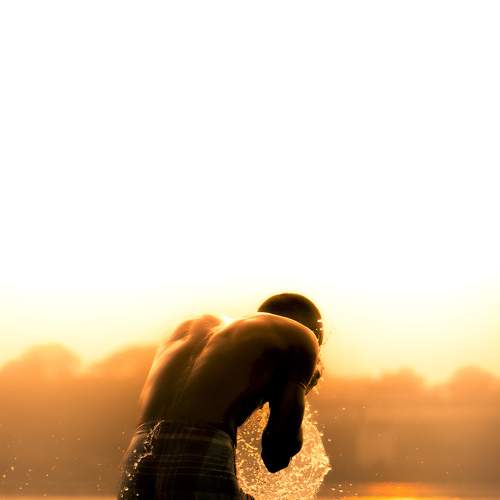 Photo #7470124