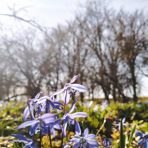 Photo #7470137
