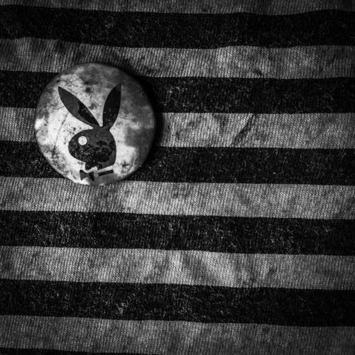 Photo #7471539