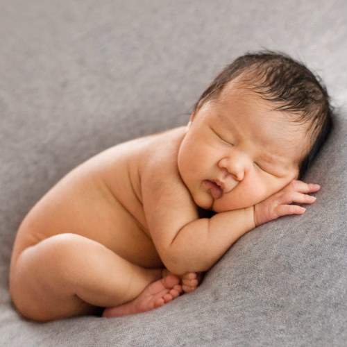 Photo #7471819