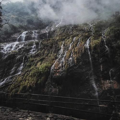 Photo #7471830