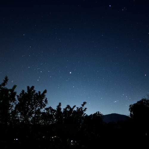 Photo #7471833