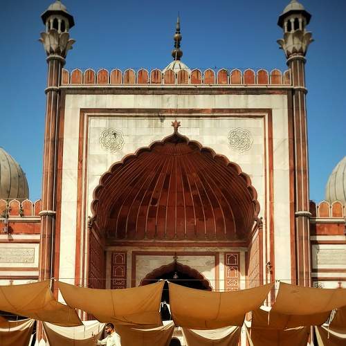 Photo #7471950