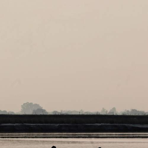 Photo #7471978