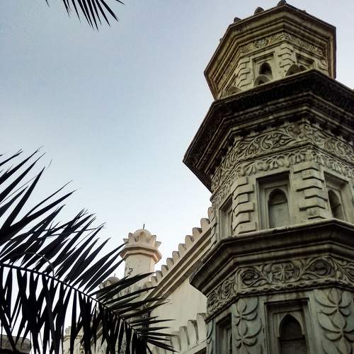 Photo #7472156