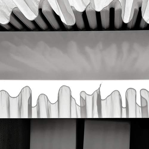 Photo #7472254