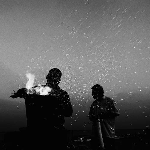 Photo #7472410