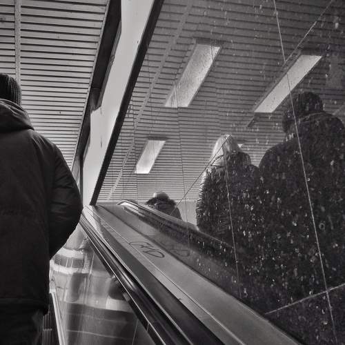Photo #7472483