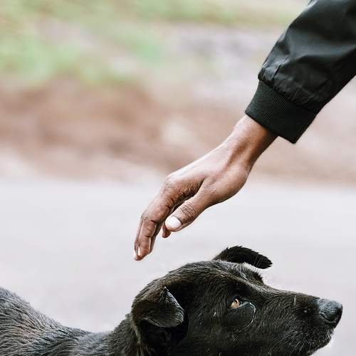 Photo #7472619