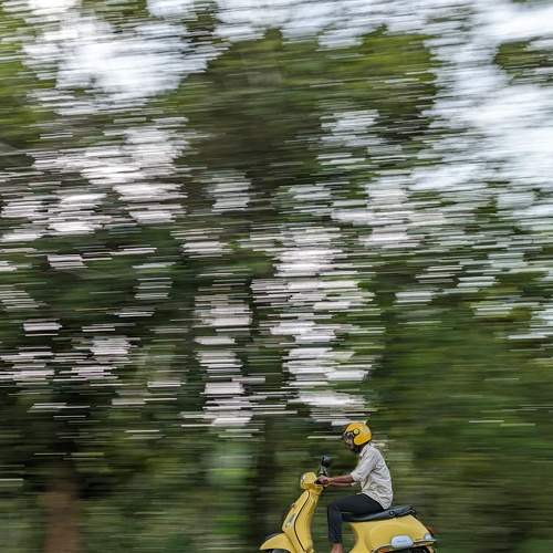 Photo #7472626