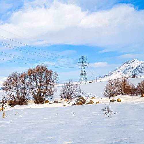 Photo #7473500