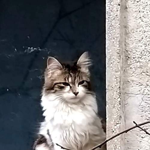 Photo #7473688