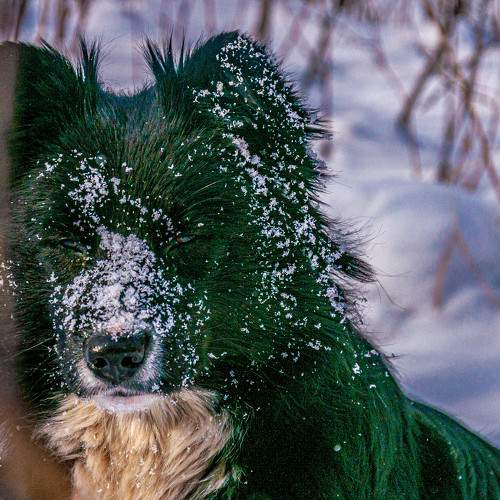 Photo #7474039