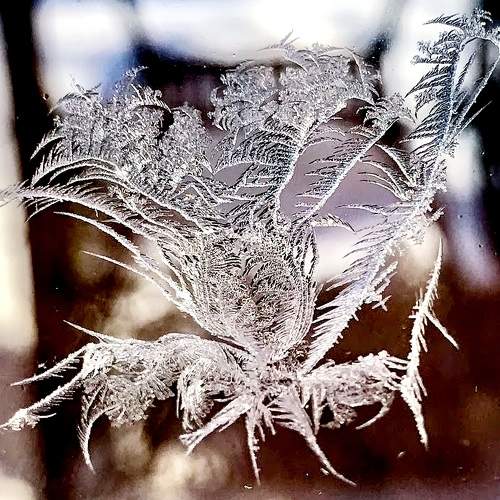 Photo #7474486