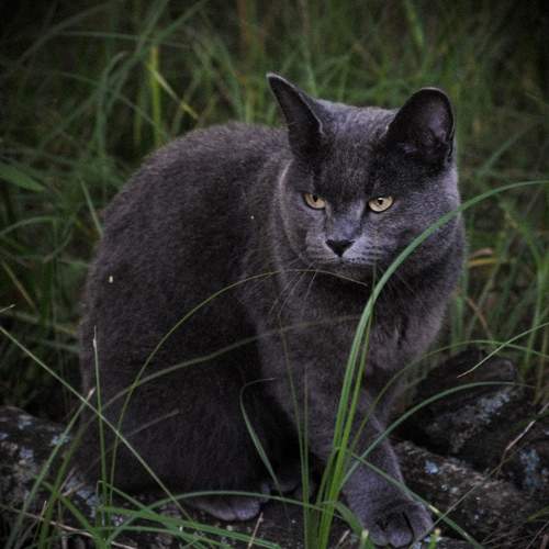 Photo #7474496