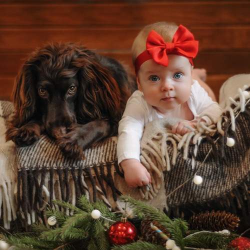 Photo #7474511