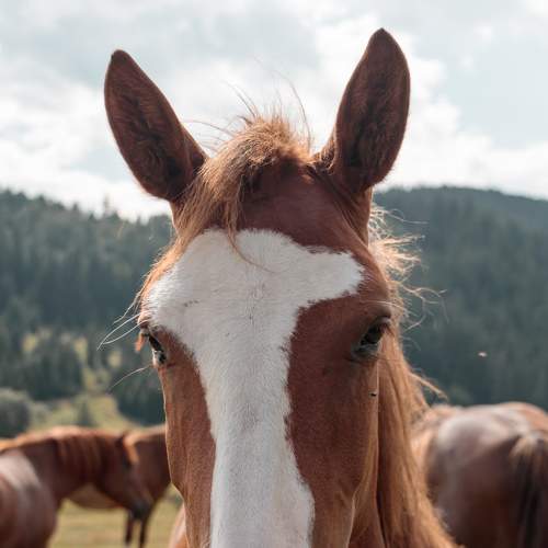 Photo #7474692