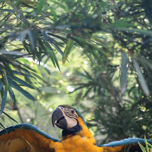Photo #7474699