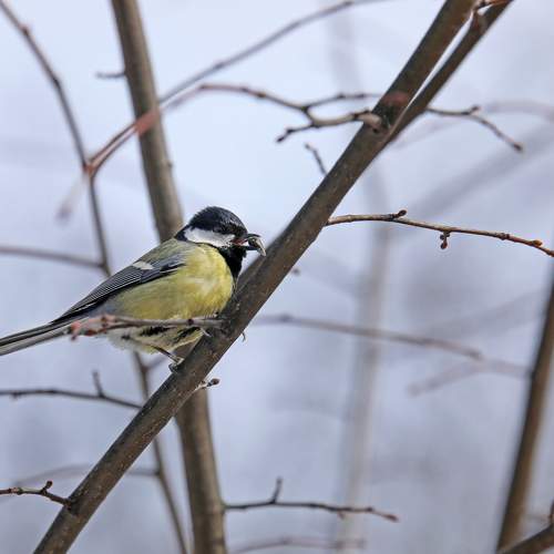 Photo #7474932