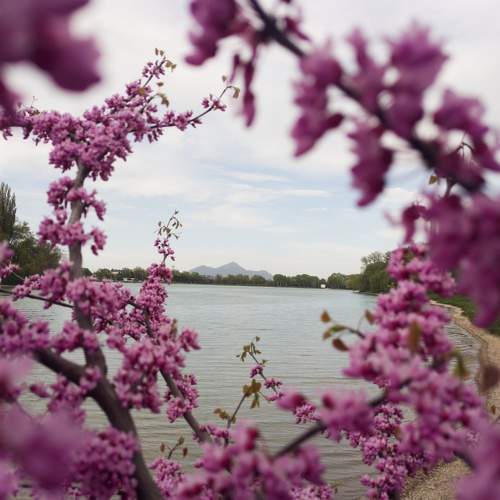 Photo #7475075