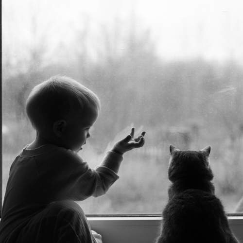 Photo #7475143
