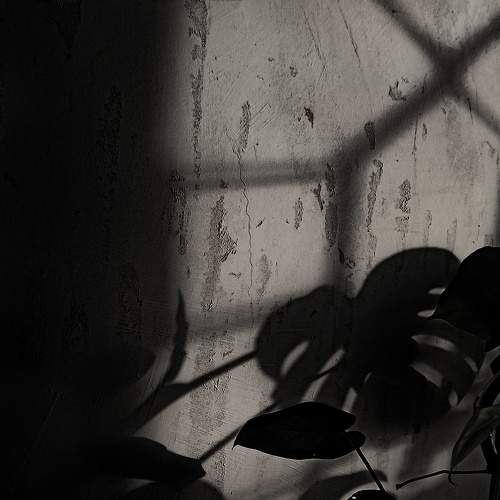 Photo #7475326