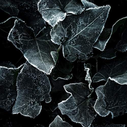 Photo #7475328