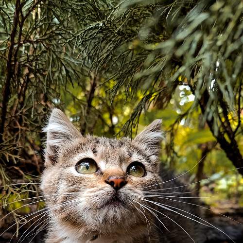 Photo #7475342