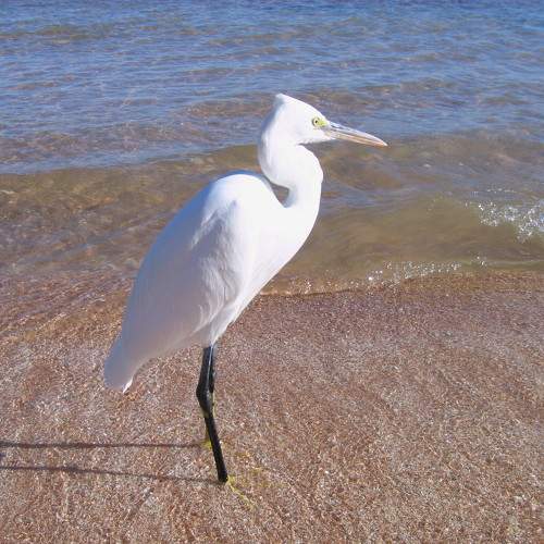 Photo #7475460