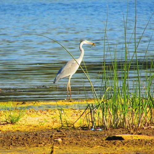 Photo #7475461