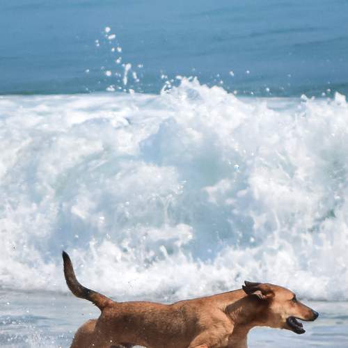 Photo #7475556